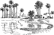 Oasis An oasis.