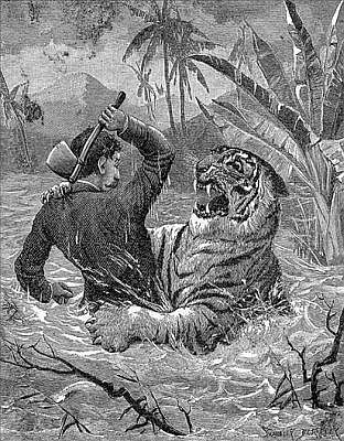 AFLOAT WITH A TIGER� AFLOAT WITH A TIGER�