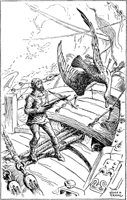 style="font-size: 70%;" The albatross falling to the deck