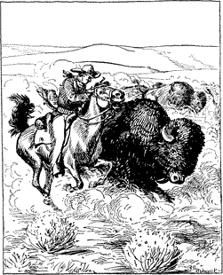 GRADUALLY I CAME ABREAST OF HIM A man on horseback racing beside a buffalo
