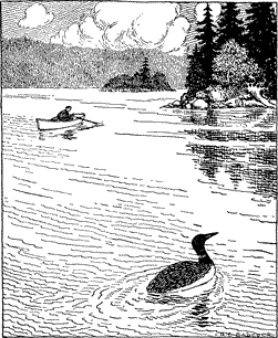 WATCHING FOR THE LOON A loon swimming in a lake in the foreground with a man in a rowboat in the background