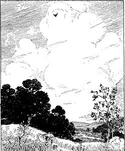 THE SKYLARK A bird soaring over a rural landscape