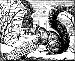 THE RED SQUIRREL A squirrel sitting on a fence, eating an ear of corn