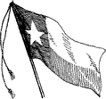 Decorative illustration Texas flag